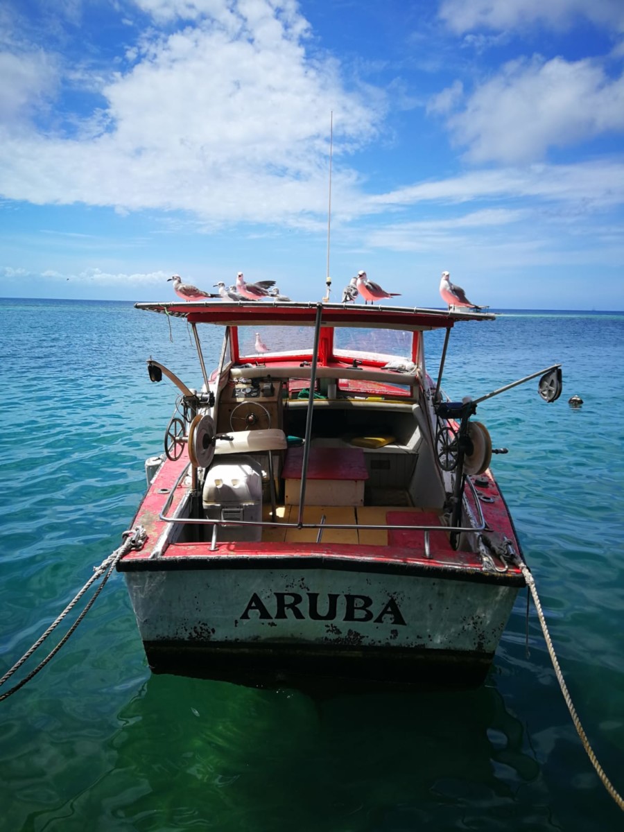 Motorboot im Wasser auf Aruba
