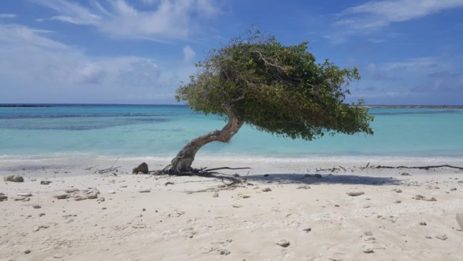 Baby Beach nahe San Nicolas auf Aruba