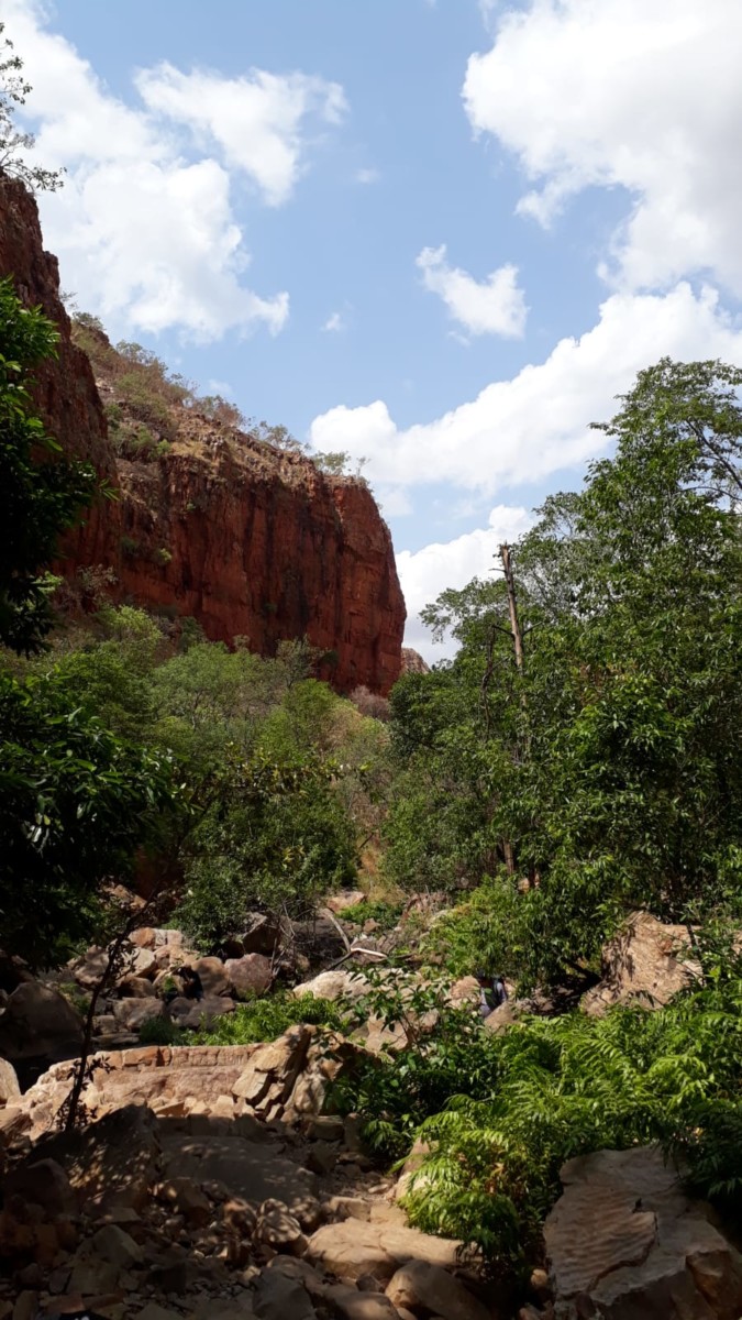 australische Buschlandschaft, links auf dem Bild erhebt sich steil eine Felswand
