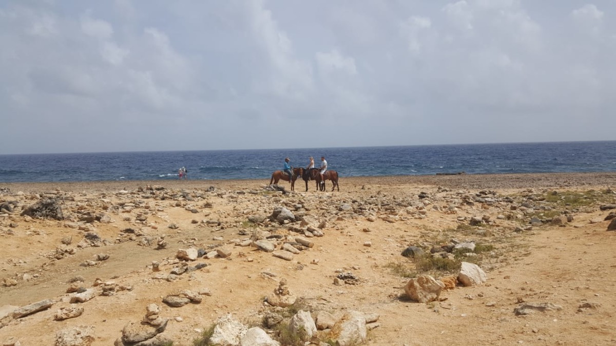 Reiten im Nationalpark Arikok auf Aruba