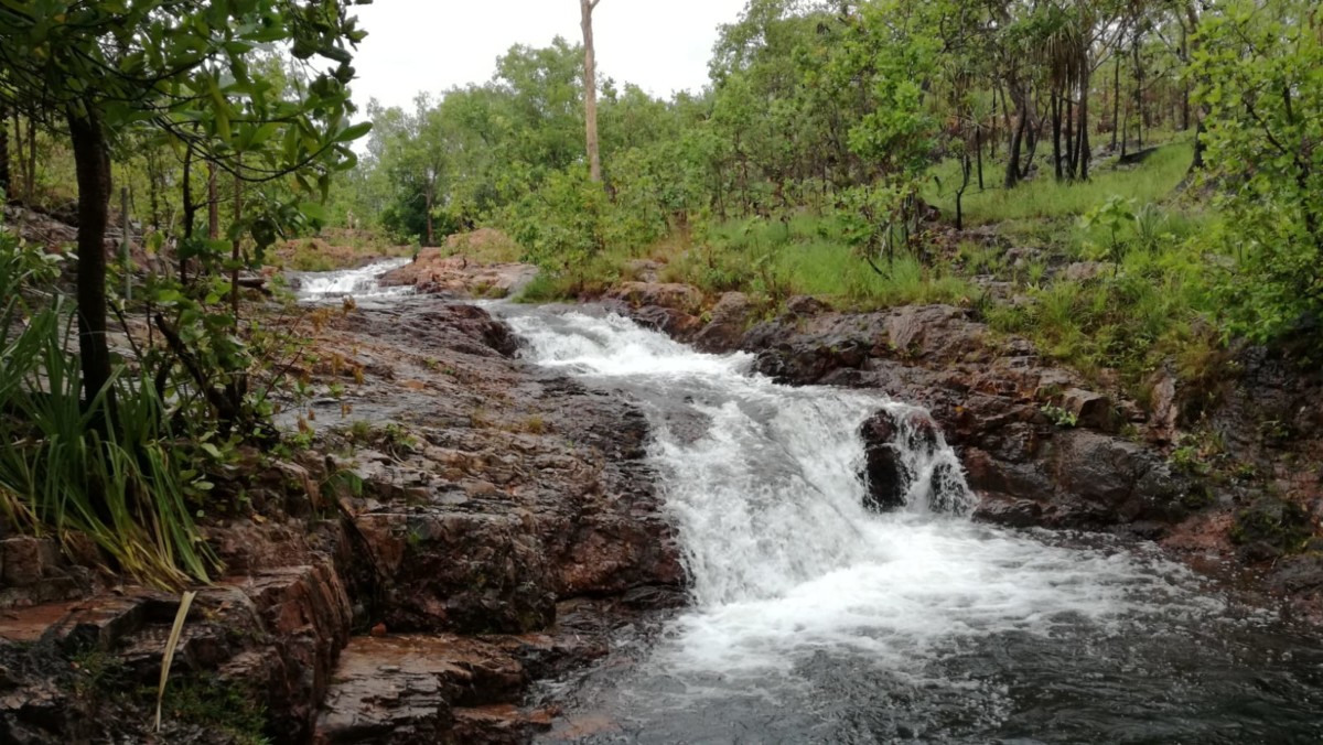 kleiner Wasserfall im Litchfield Nationalpark, das Ufer ist mit typischer australischer Buschlandschaft bewachsen