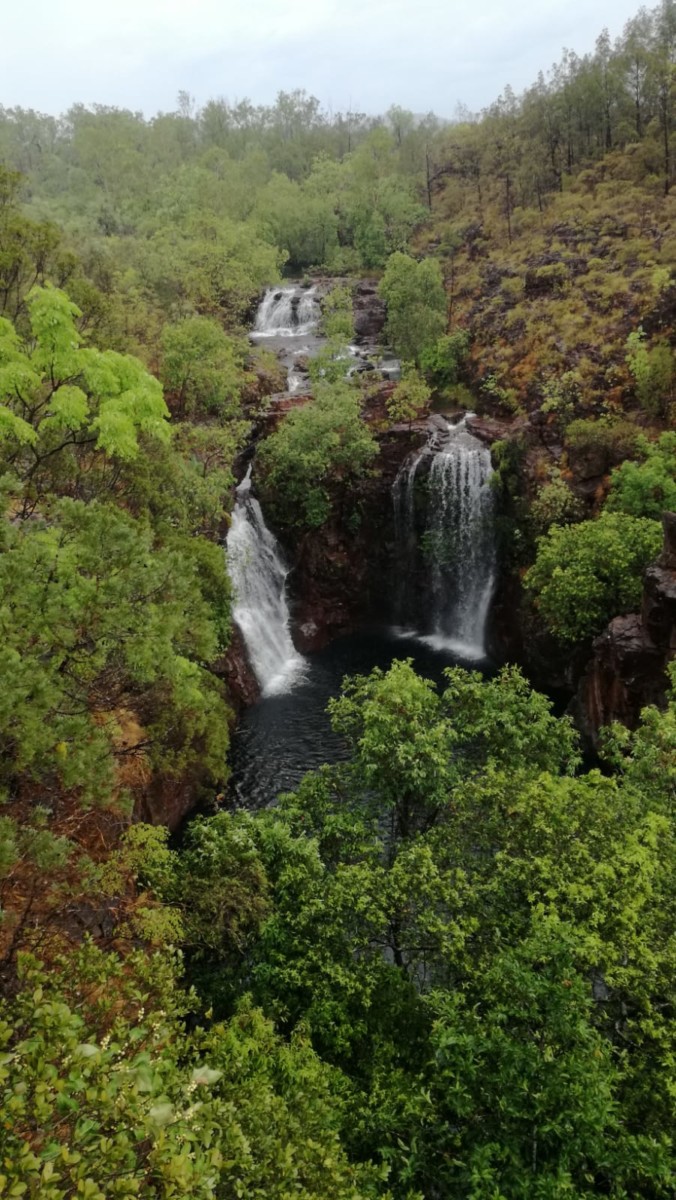 Wasserfall mit tropischer Umgebung