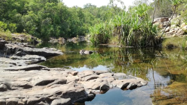 Felsen muenden in ein Wasserbett, in Hintergrund eine australische Buschlandschaft